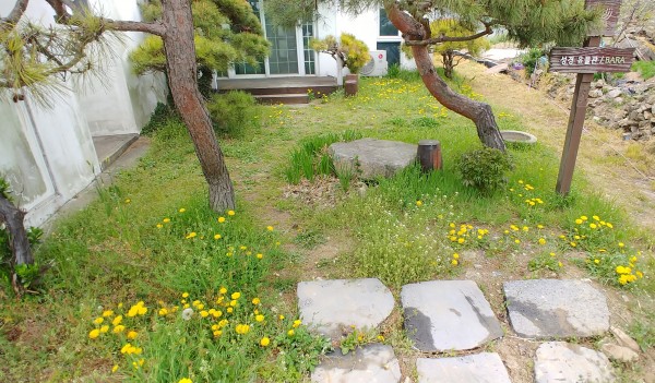 0fa54721e7b240c40216282e92efb795_1562982