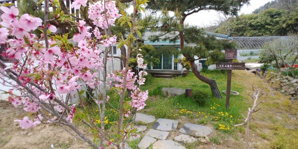 0fa54721e7b240c40216282e92efb795_1562982